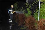Prio 1 Berm Ruigte Brand Waterlelie Buitenpost